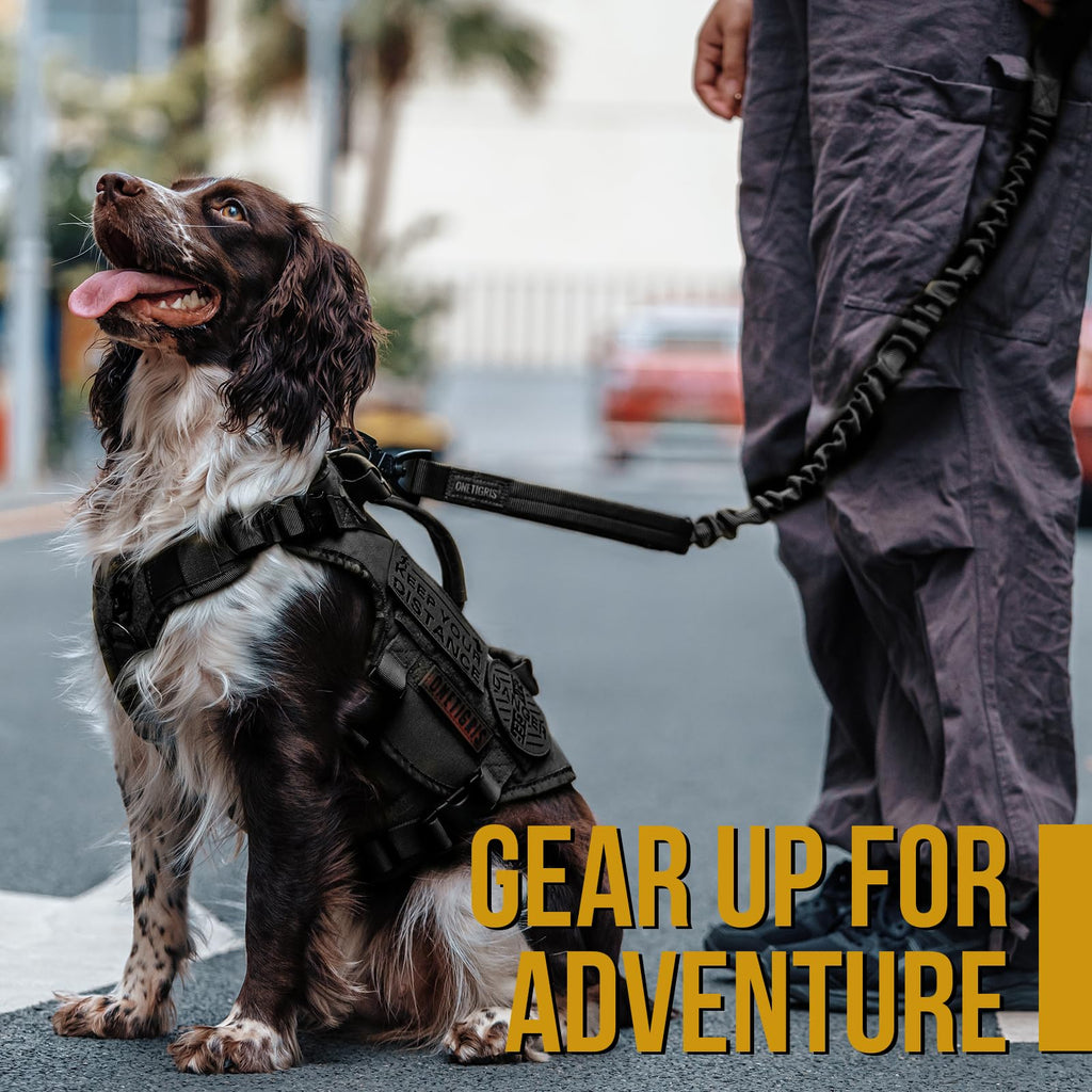 ONETIGRIS Tactical Dog Training Bungee Leash with 2 Handles – Heavy-Duty Nylon (Black)