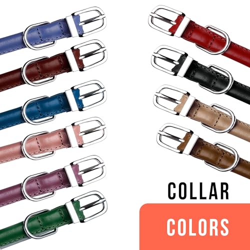 OOPSDOGGY Rolled Leather Dog Collar – Red, Size S (10–13 inch) for Small Dogs, Reflective