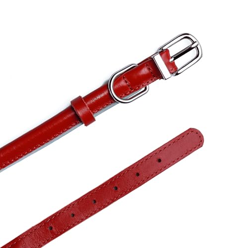 OOPSDOGGY Rolled Leather Dog Collar – Red, Size S (10–13 inch) for Small Dogs, Reflective