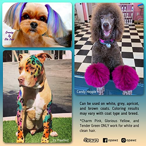OPAWZ Ardent Orange Permanent Dog Hair Dye – Non-Toxic, Lasts 20+ Washes for Dogs and Horses