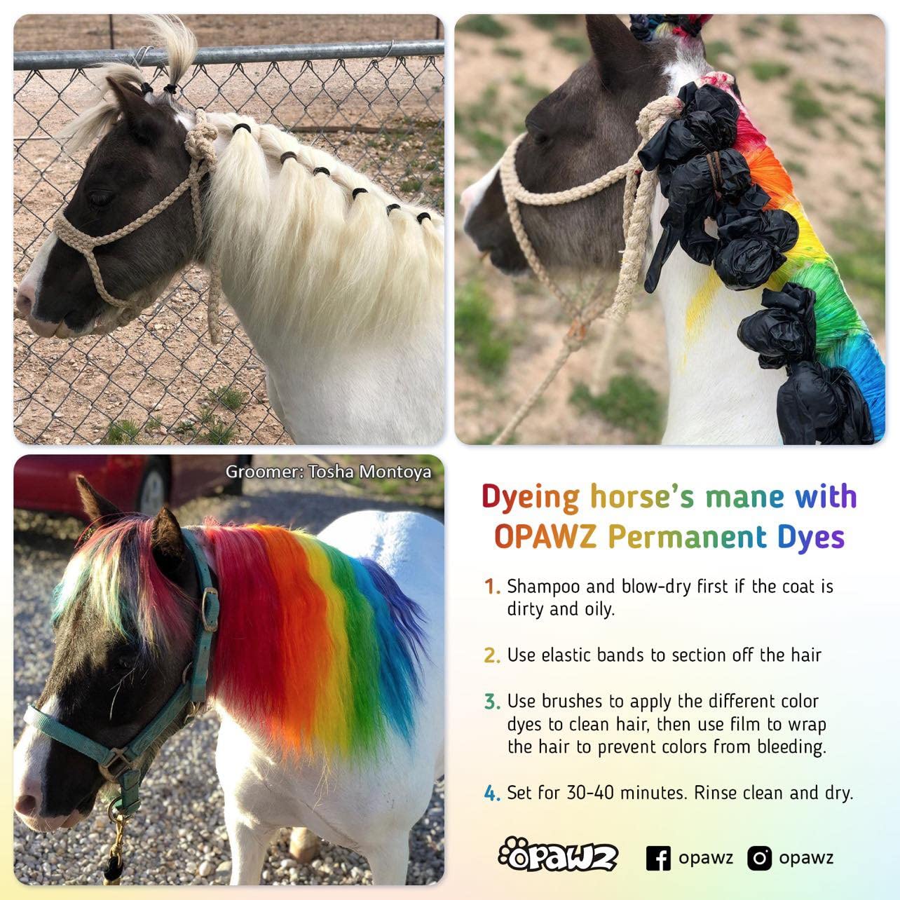 OPAWZ Profound Green Dog Hair Dye: Permanent Color Lasting 20+ Washes, Pet Safe