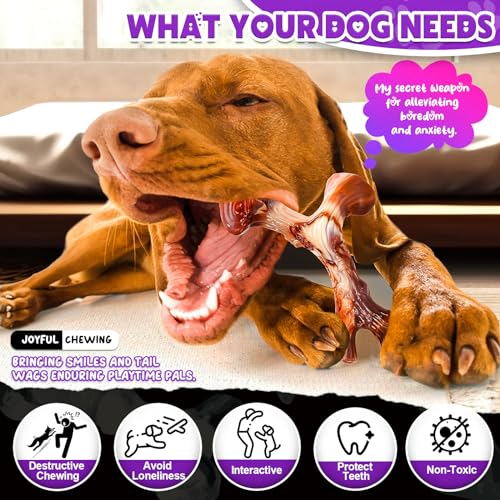 OSORD 4-Pack Dog Chew Toys for Aggressive Chewers - Tough Nylon Bones with Bacon Flavor, Small & Medium Breeds