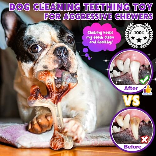 OSORD 4-Pack Dog Chew Toys for Aggressive Chewers - Tough Nylon Bones with Bacon Flavor, Small & Medium Breeds