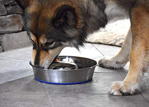 Our Pets Durapet Stainless Steel Slow Feed Bowl Medium - 5 Cup Capacity with Skid-Proof Bottom