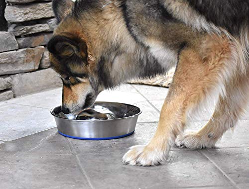 Our Pets Durapet Stainless Steel Slow Feed Bowl Medium - 5 Cup Capacity with Skid-Proof Bottom