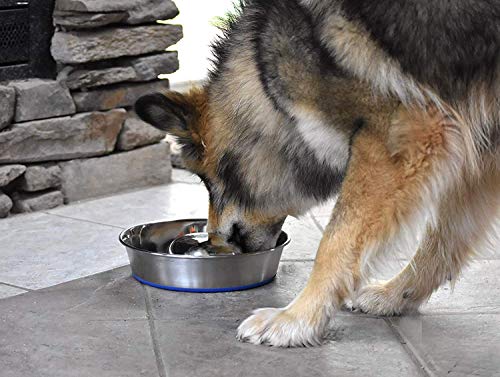 Our Pets Durapet Stainless Steel Slow Feed Bowl Medium - 5 Cup Capacity with Skid-Proof Bottom
