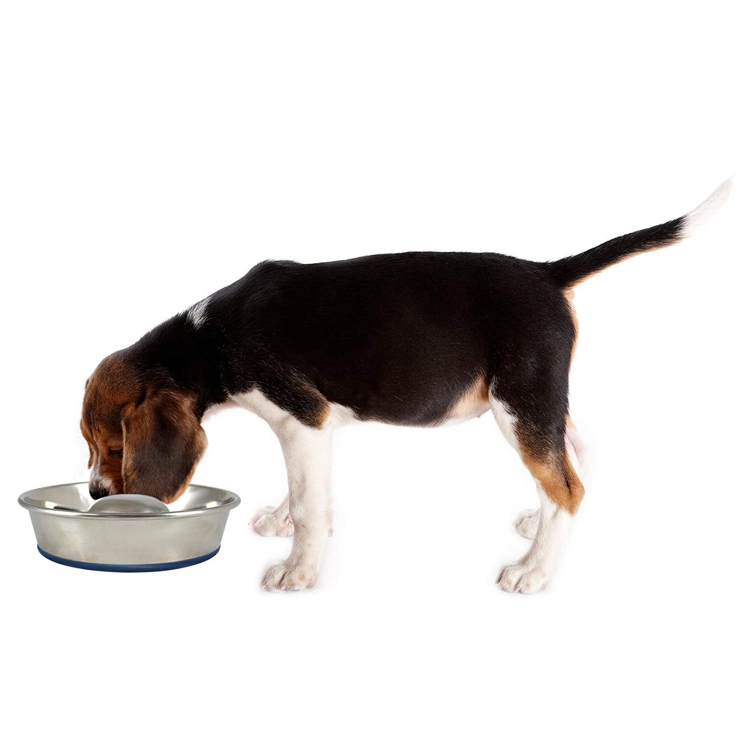 Our Pets Durapet Stainless Steel Slow Feed Bowl Medium - 5 Cup Capacity with Skid-Proof Bottom