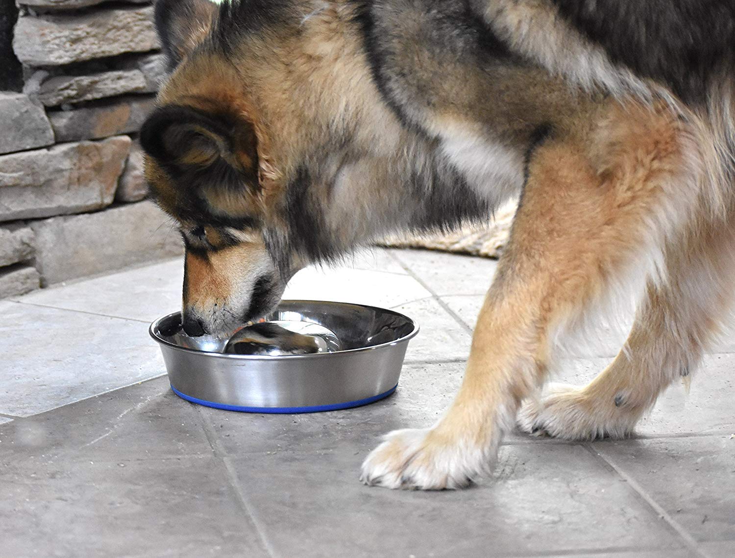 Our Pets Durapet Stainless Steel Slow Feed Bowl Medium - 5 Cup Capacity with Skid-Proof Bottom