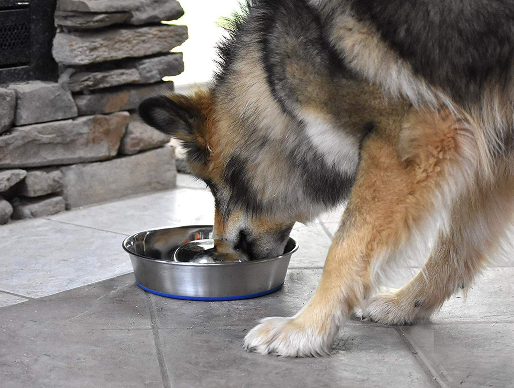 Our Pets Durapet Stainless Steel Slow Feed Bowl Medium - 5 Cup Capacity with Skid-Proof Bottom