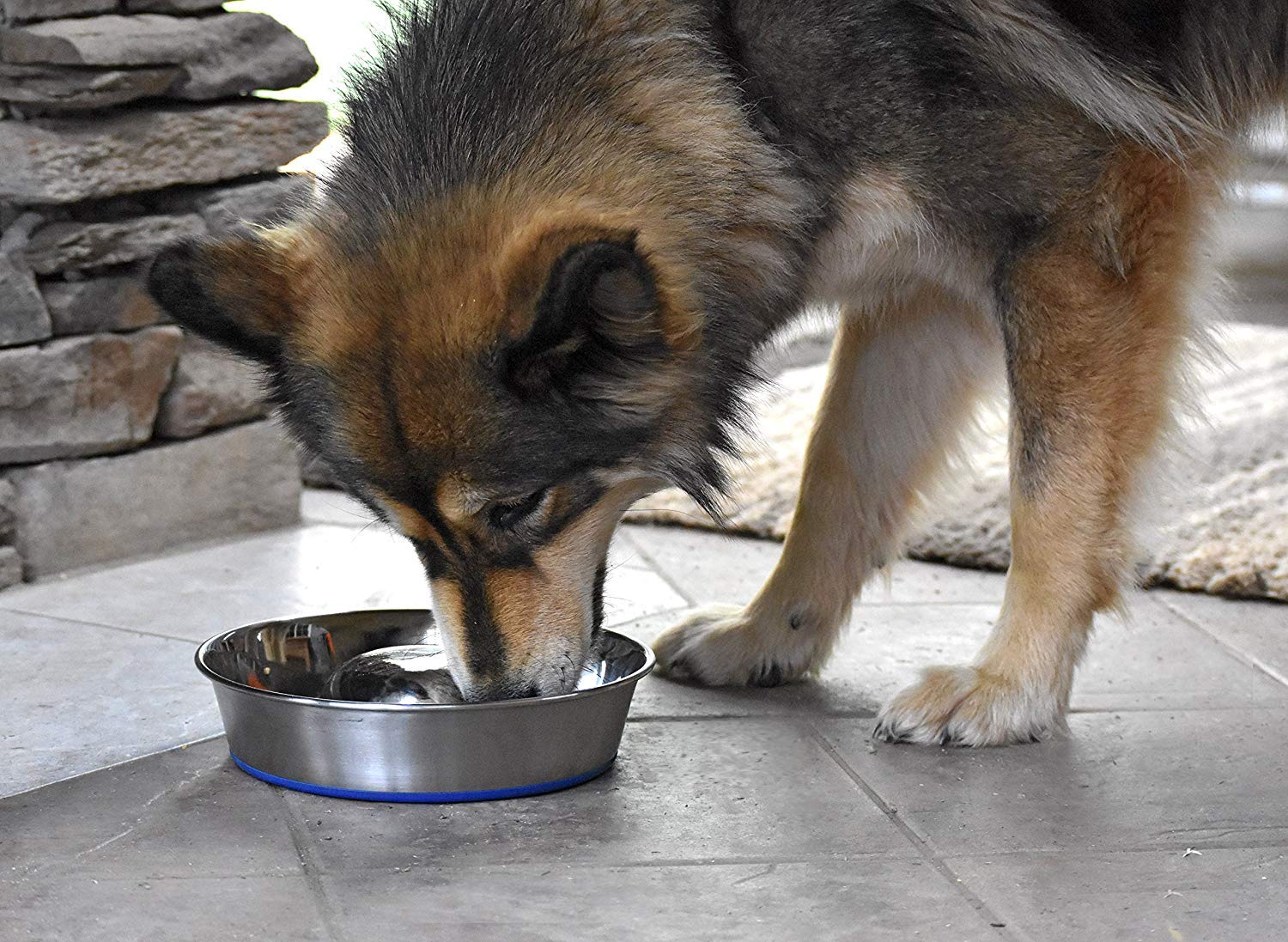 Our Pets Durapet Stainless Steel Slow Feed Bowl Medium - 5 Cup Capacity with Skid-Proof Bottom