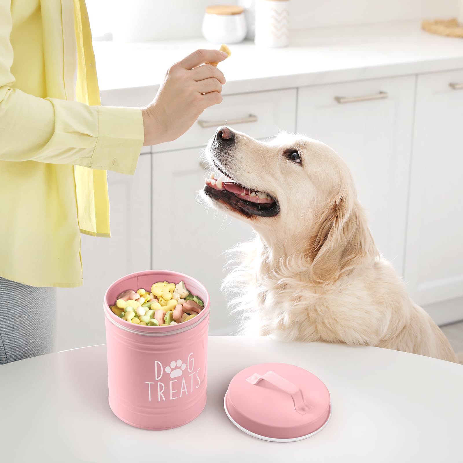 OUTNILI Pink Small Dog Treat Container - Airtight Stainless Steel Jar, 5.5 Cups, 6" Tall