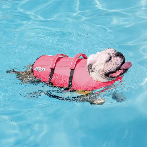 Outward Hound Granby Splash Pink Dog Life Jacket XS - High-Buoyancy Swim Vest for Small Dogs