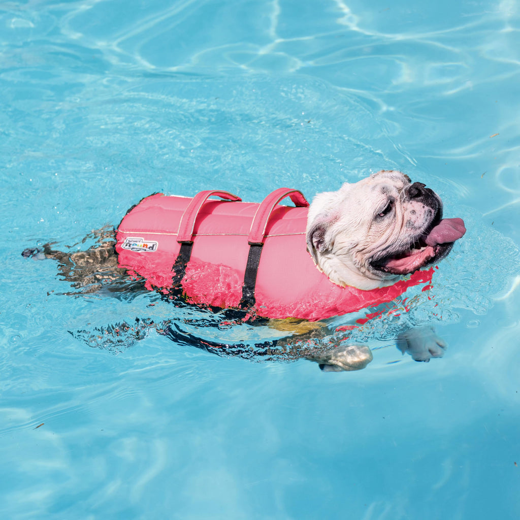 Outward Hound Granby Splash Pink Dog Life Jacket XS - High-Buoyancy Swim Vest for Small Dogs