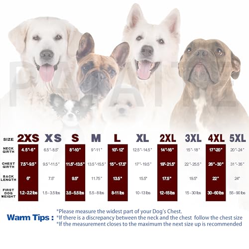 Paiaite 8-Piece Funny Dog Shirt Set – Sleeveless Summer & Fall Tops for Small to Medium Dogs (Large)