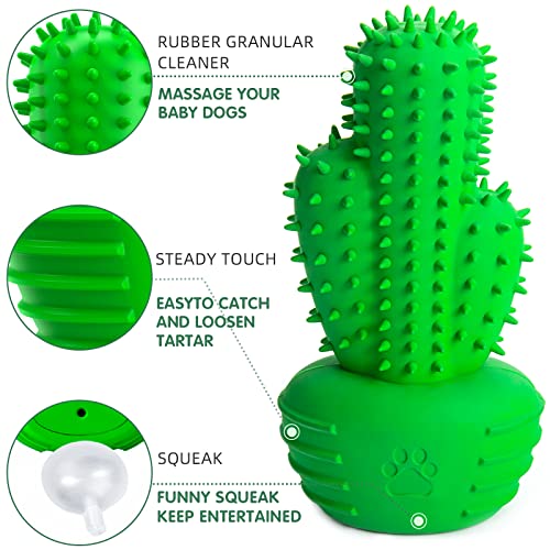 Pamlulu Dog Chew Toy with Squeaker – Dental Toothbrush Stick for Medium to Large Dogs