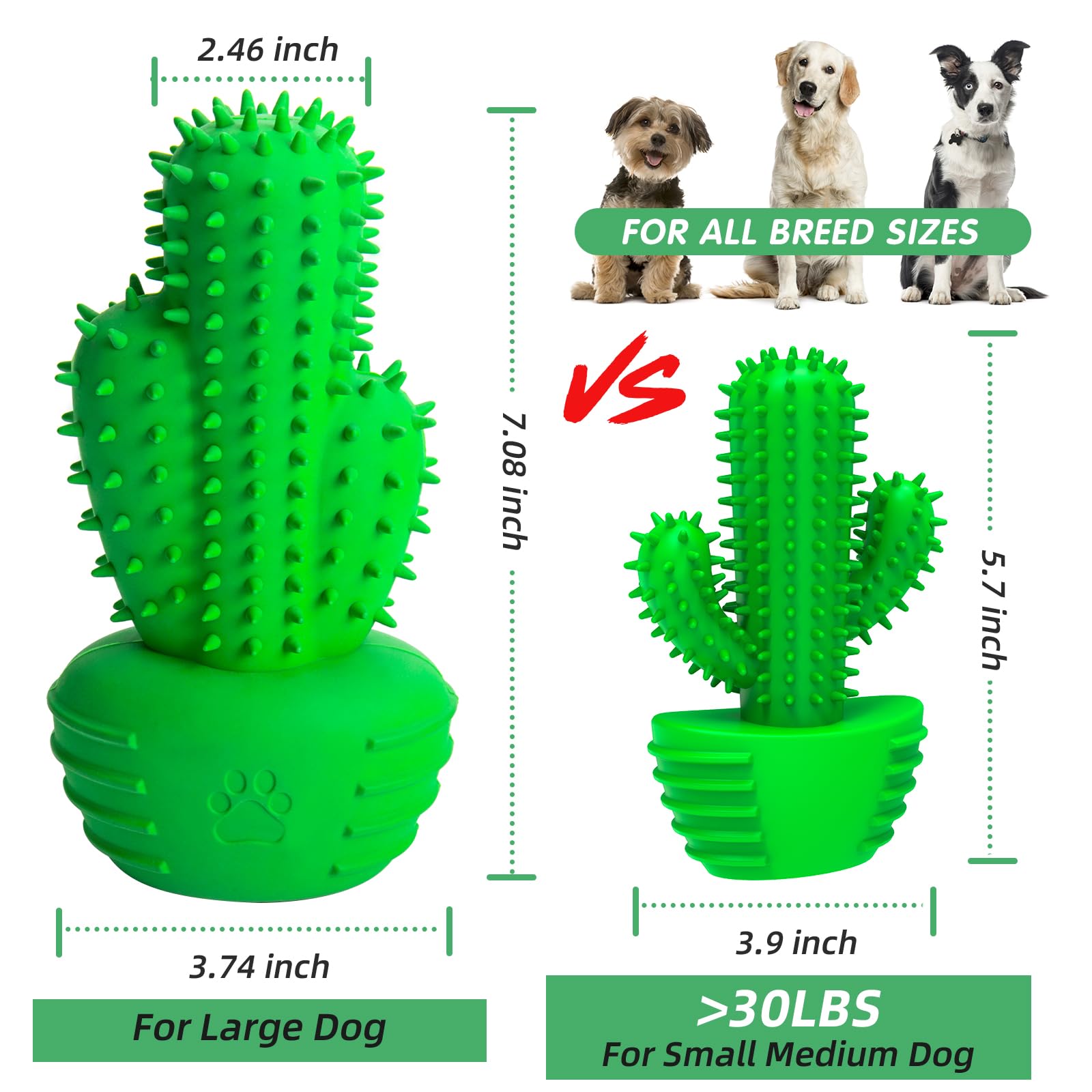 Pamlulu Dog Chew Toy with Squeaker – Dental Toothbrush Stick for Medium to Large Dogs