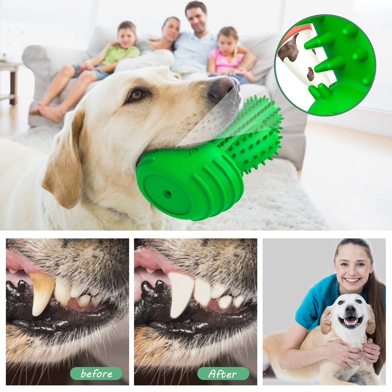 Pamlulu Dog Chew Toy with Squeaker – Dental Toothbrush Stick for Medium to Large Dogs
