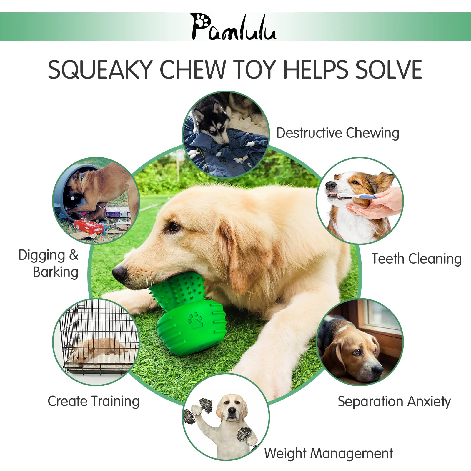 Pamlulu Dog Chew Toy with Squeaker – Dental Toothbrush Stick for Medium to Large Dogs
