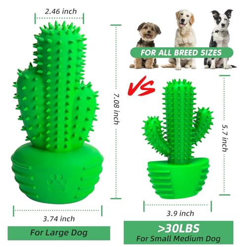 Pamlulu Dog Chew Toy with Squeaker – Dental Toothbrush Stick for Medium to Large Dogs