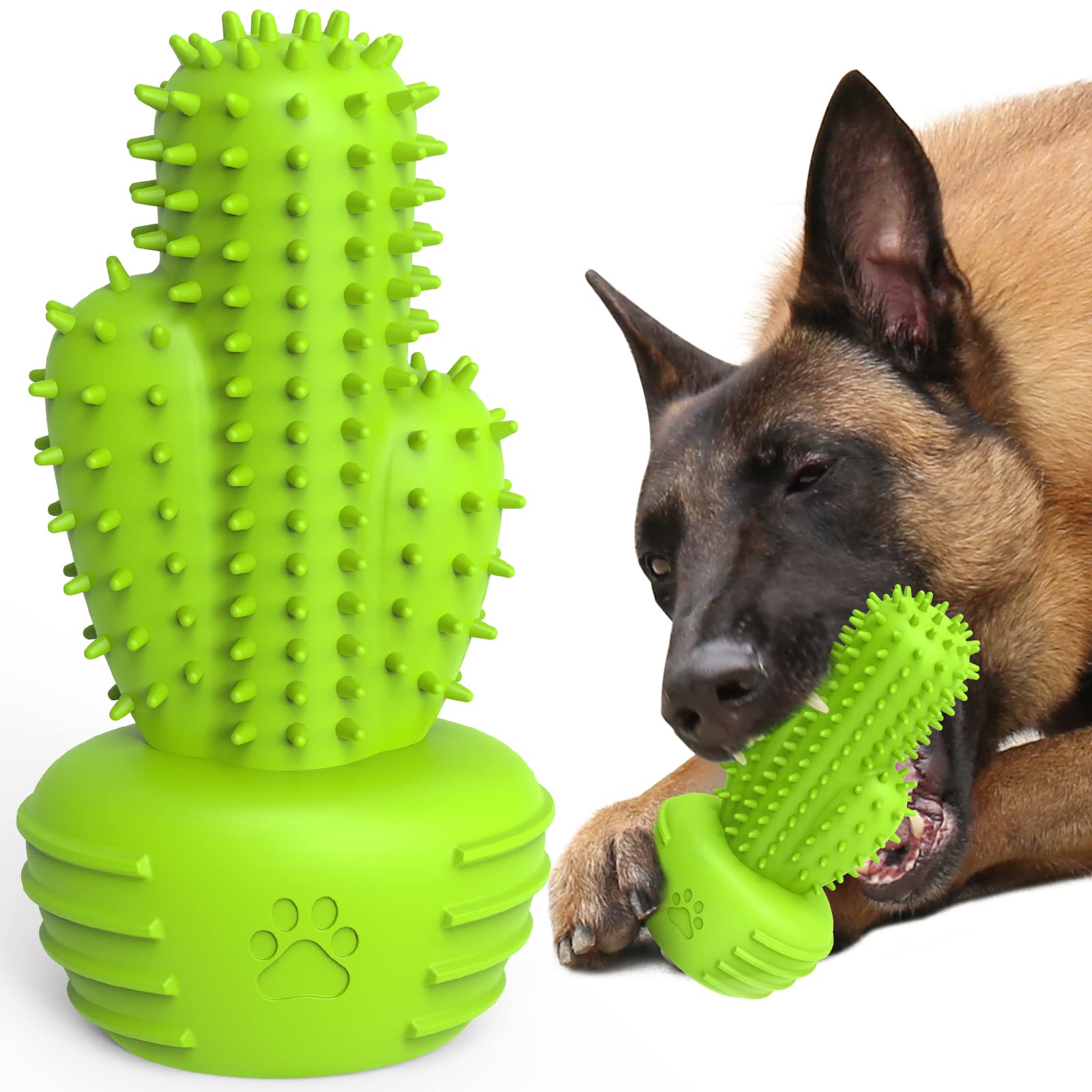 Pamlulu Dog Chew Toy with Teeth Cleaning Bristles, Squeaky Rubber Cactus for Aggressive Chewers, Medium Large Dogs