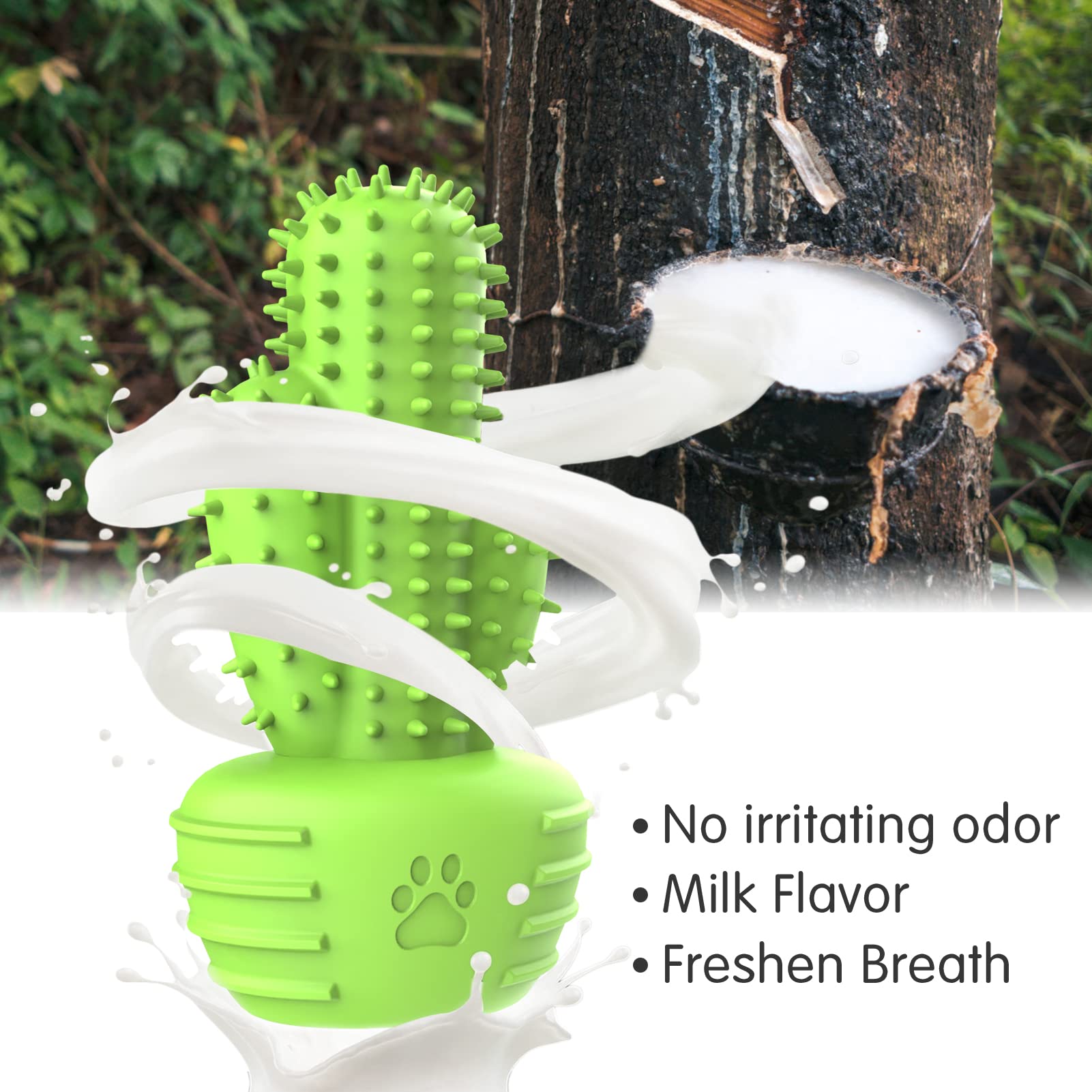 Pamlulu Dog Chew Toy with Teeth Cleaning Bristles, Squeaky Rubber Cactus for Aggressive Chewers, Medium Large Dogs