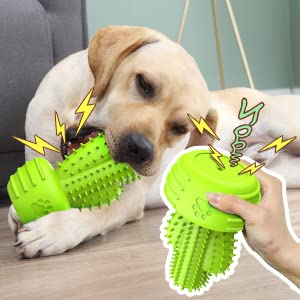 Pamlulu Dog Chew Toy with Teeth Cleaning Bristles, Squeaky Rubber Cactus for Aggressive Chewers, Medium Large Dogs