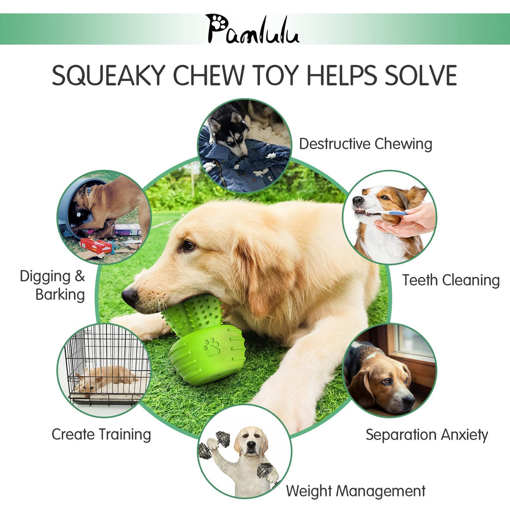 Pamlulu Dog Chew Toy with Teeth Cleaning Bristles, Squeaky Rubber Cactus for Aggressive Chewers, Medium Large Dogs