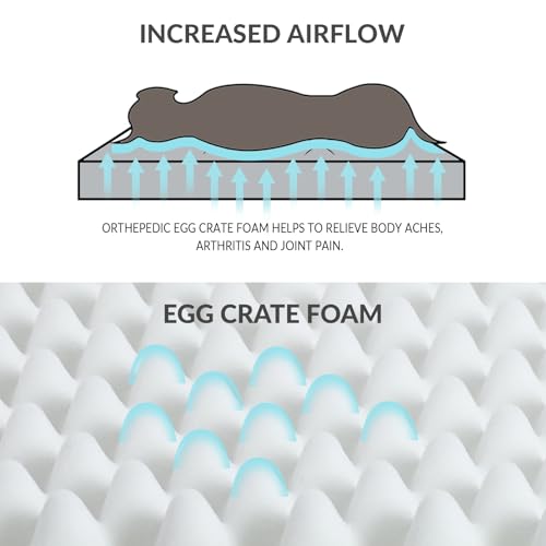 Patas Lague Orthopedic Dog Bed for Large Dogs, 36x24 Inches, Waterproof Egg Crate Foam with Washable Cover and Nonskid Bottom