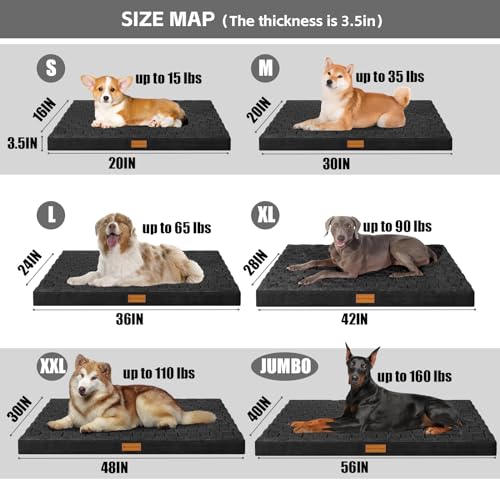 Patas Lague Orthopedic Dog Bed for Large Dogs, 36x24 Inches, Waterproof Egg Crate Foam with Washable Cover and Nonskid Bottom