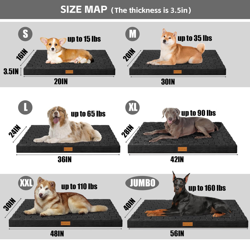 Patas Lague Orthopedic Dog Bed for Large Dogs, 36x24 Inches, Waterproof Egg Crate Foam with Washable Cover and Nonskid Bottom
