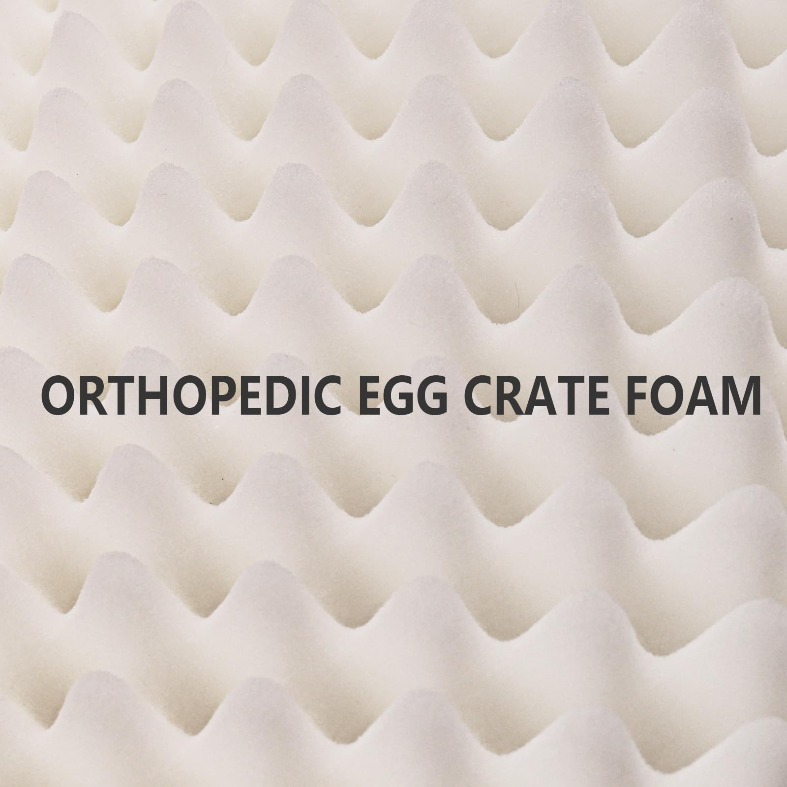 Patas Lague Orthopedic Dog Bed for Large Dogs, 36x24 Inches, Waterproof Egg Crate Foam with Washable Cover and Nonskid Bottom
