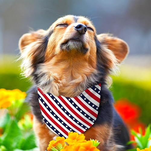 Patriotic Dog Bandana Reversible 2-Pack – Red, White and Blue Paw Star Design for Small Medium Dogs
