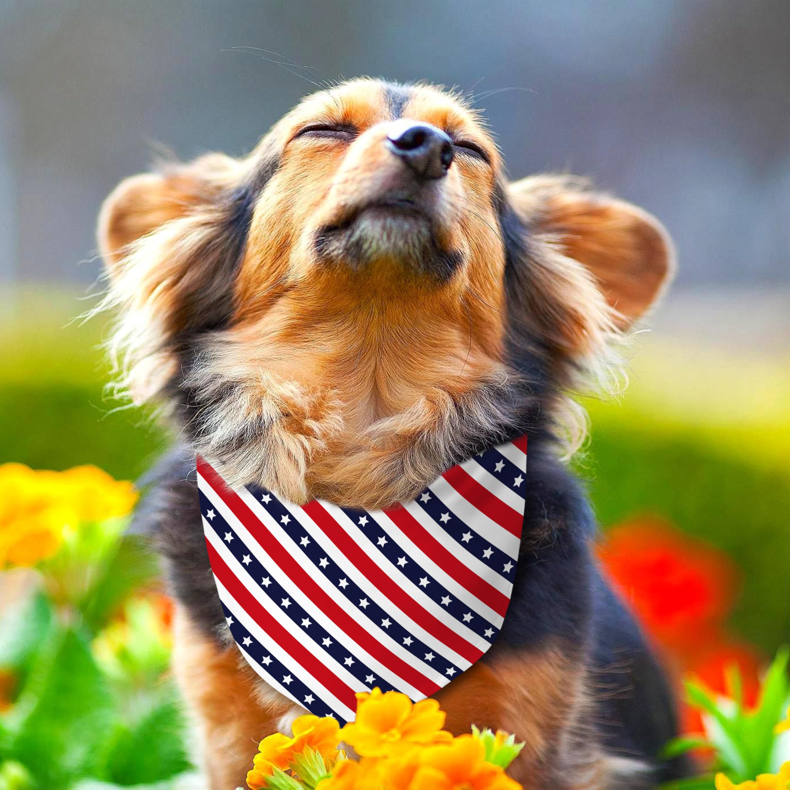 Patriotic Dog Bandana Reversible 2-Pack – Red, White and Blue Paw Star Design for Small Medium Dogs