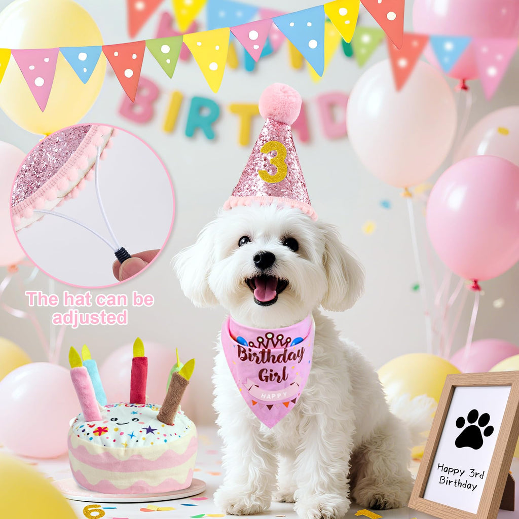 PATTEPOINT Dog Birthday Toy Set - Pink Squeaky Cake, Plush Bones, Hat, Bandana, Paw Print Kit & Photo Frame - Pet Gift Supplies
