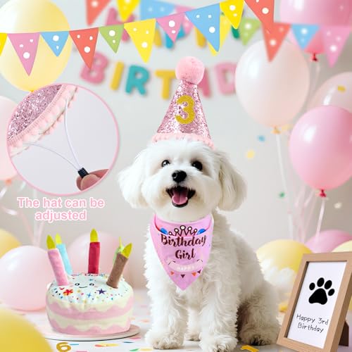 PATTEPOINT Dog Birthday Toy Set - Pink Squeaky Cake, Plush Bones, Hat, Bandana, Paw Print Kit & Photo Frame - Pet Gift Supplies