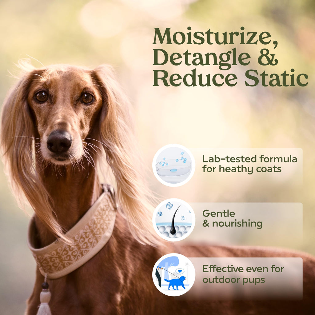 Paw Fume 2-Pack Dog Cologne Spray – Hypoallergenic, Alcohol-Free, Detangling Formula for All-Day Freshness