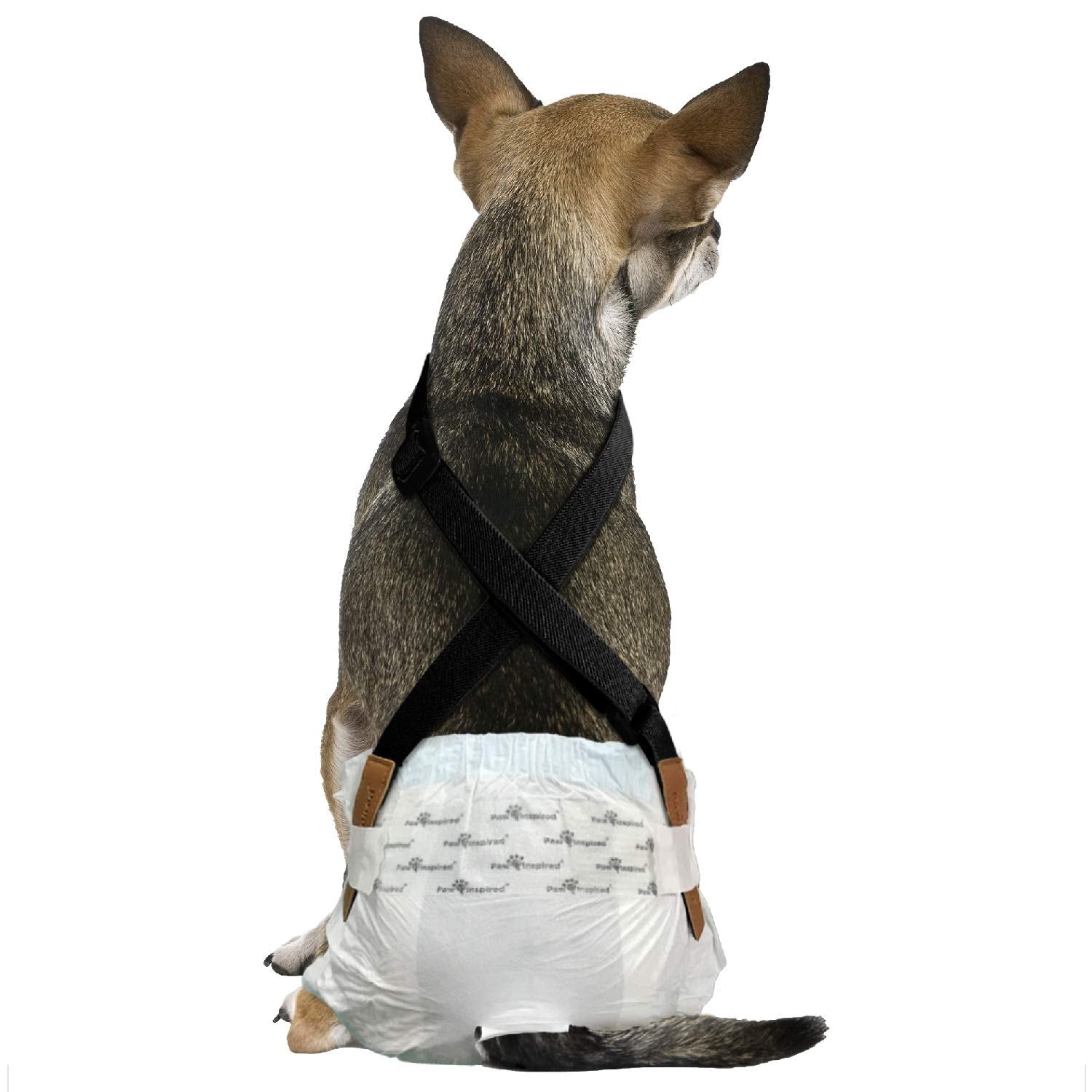 Paw Inspired Dog Diaper Suspenders - Adjustable Velcro Straps for Female and Male Disposable or Washable Diapers (XS/S, Black)