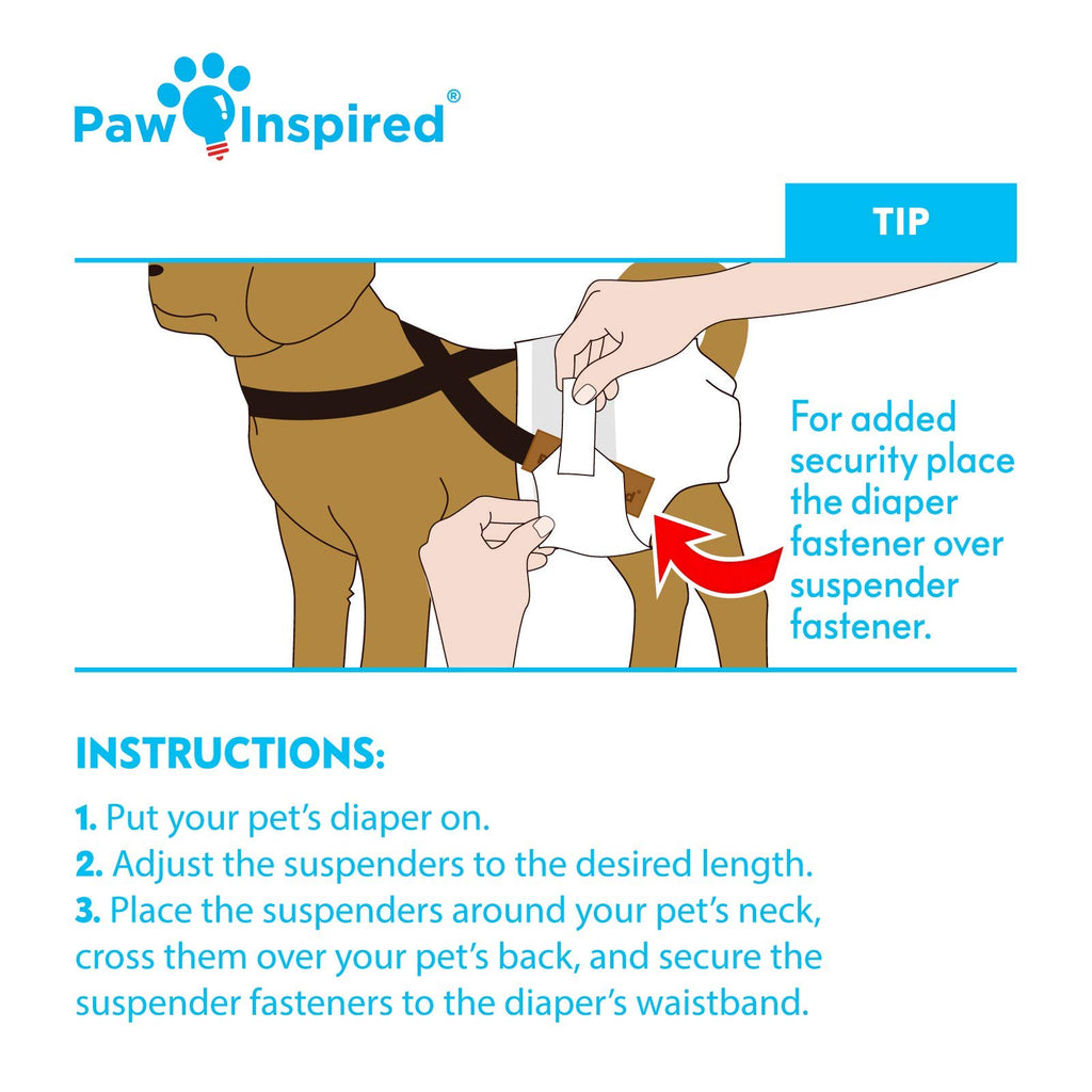 Paw Inspired Dog Diaper Suspenders - Adjustable Velcro Straps for Female and Male Disposable or Washable Diapers (XS/S, Black)