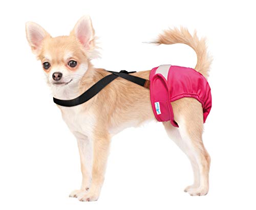Paw Inspired Dog Diaper Suspenders - Adjustable Velcro Straps for Female and Male Disposable or Washable Diapers (XS/S, Black)