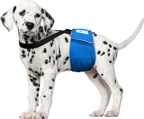 Paw Inspired Dog Diaper Suspenders - Adjustable Velcro Straps for Female and Male Disposable or Washable Diapers (XS/S, Black)