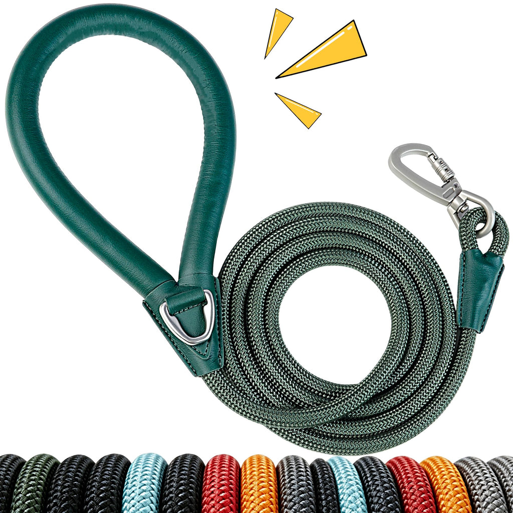 Pawkooly 6-Foot Heavy Duty Dog Leash – Reinforced Nylon Rope with Leather Handle, Lockable Swivel Clip, for Medium to Large Dogs