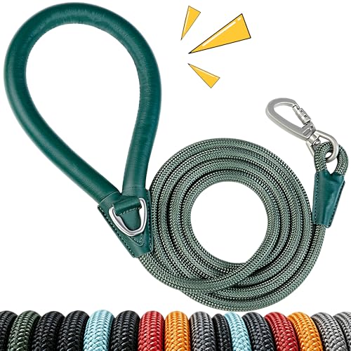Pawkooly 6-Foot Heavy Duty Dog Leash – Reinforced Nylon Rope with Leather Handle, Lockable Swivel Clip, for Medium to Large Dogs