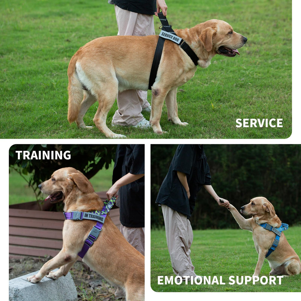 PAWORLD No-Pull Service Dog Vest Harness with 4 Reflective Patches, Small, Pink