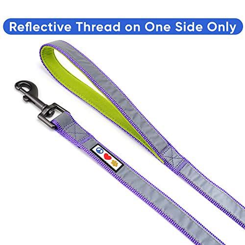 Pawtitas 6 ft Padded Dog Leash – Purple Reflective Neoprene Handle for Small Dogs