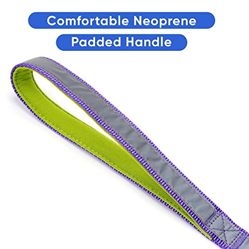 Pawtitas 6 ft Padded Dog Leash – Purple Reflective Neoprene Handle for Small Dogs
