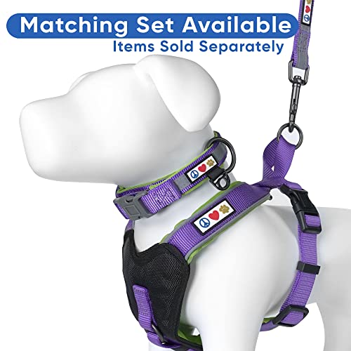 Pawtitas 6 ft Padded Dog Leash – Purple Reflective Neoprene Handle for Small Dogs
