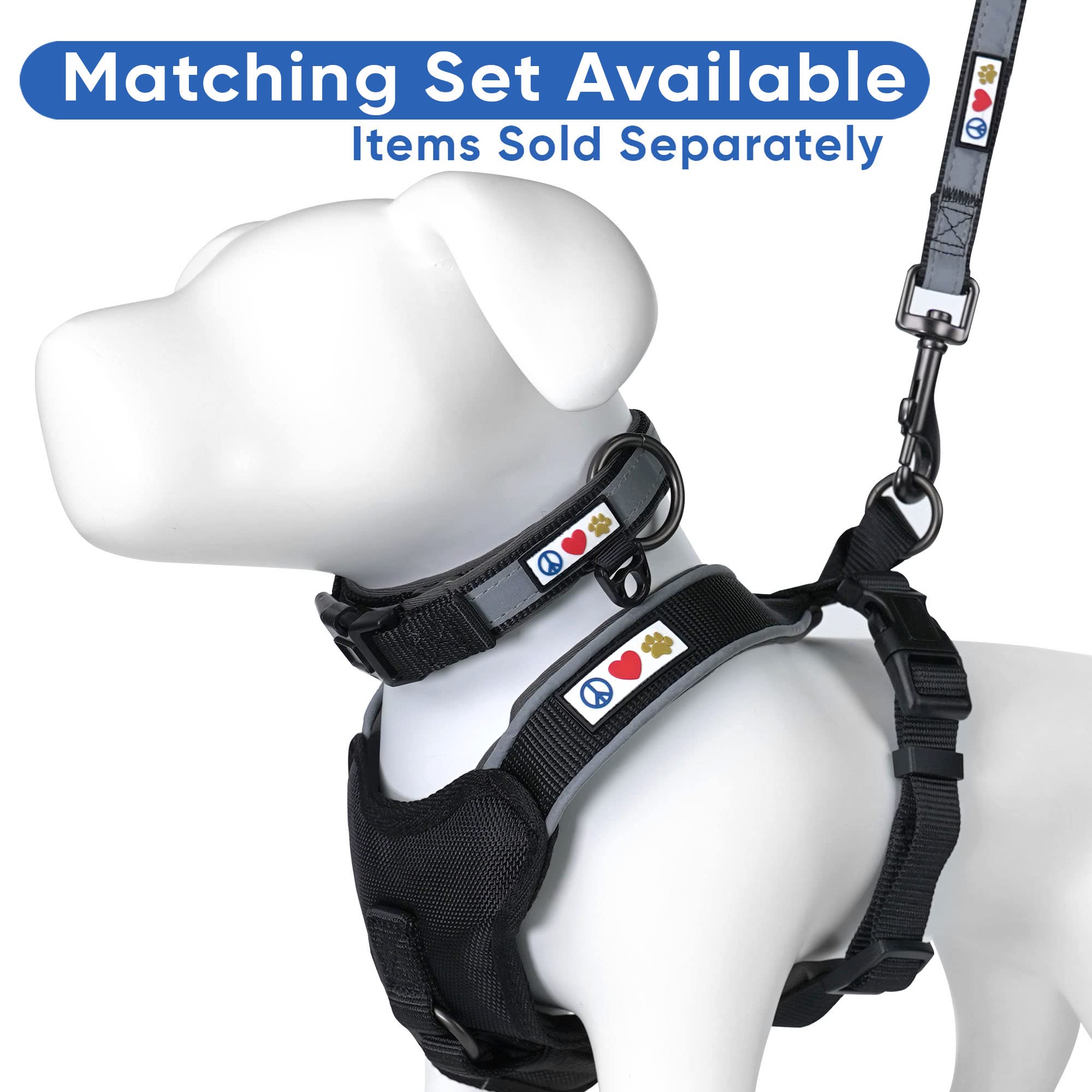 Pawtitas Custom ID Dog Leash: 6ft Reflective Padded Handle with Embroidered Name & Phone Number - Black