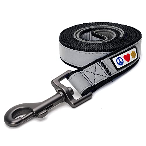 Pawtitas Custom ID Dog Leash: 6ft Reflective Padded Handle with Embroidered Name & Phone Number - Black