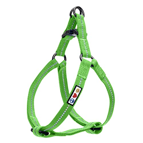 Pawtitas Recycled Nylon Step-in Dog Harness - Reflective, Adjustable, No-Pull, Small Green