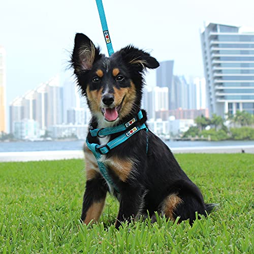 Pawtitas Recycled Reflective Step-in Dog Harness - Medium Coral - Adjustable No-Pull Vest for Dogs 20-28 Inch Chest